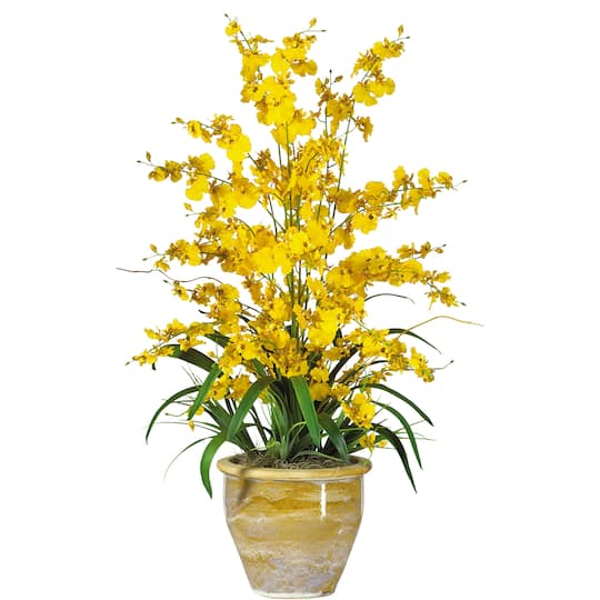 2.5ft. Triple Dancing Lady Orchid Arrangement in Planter